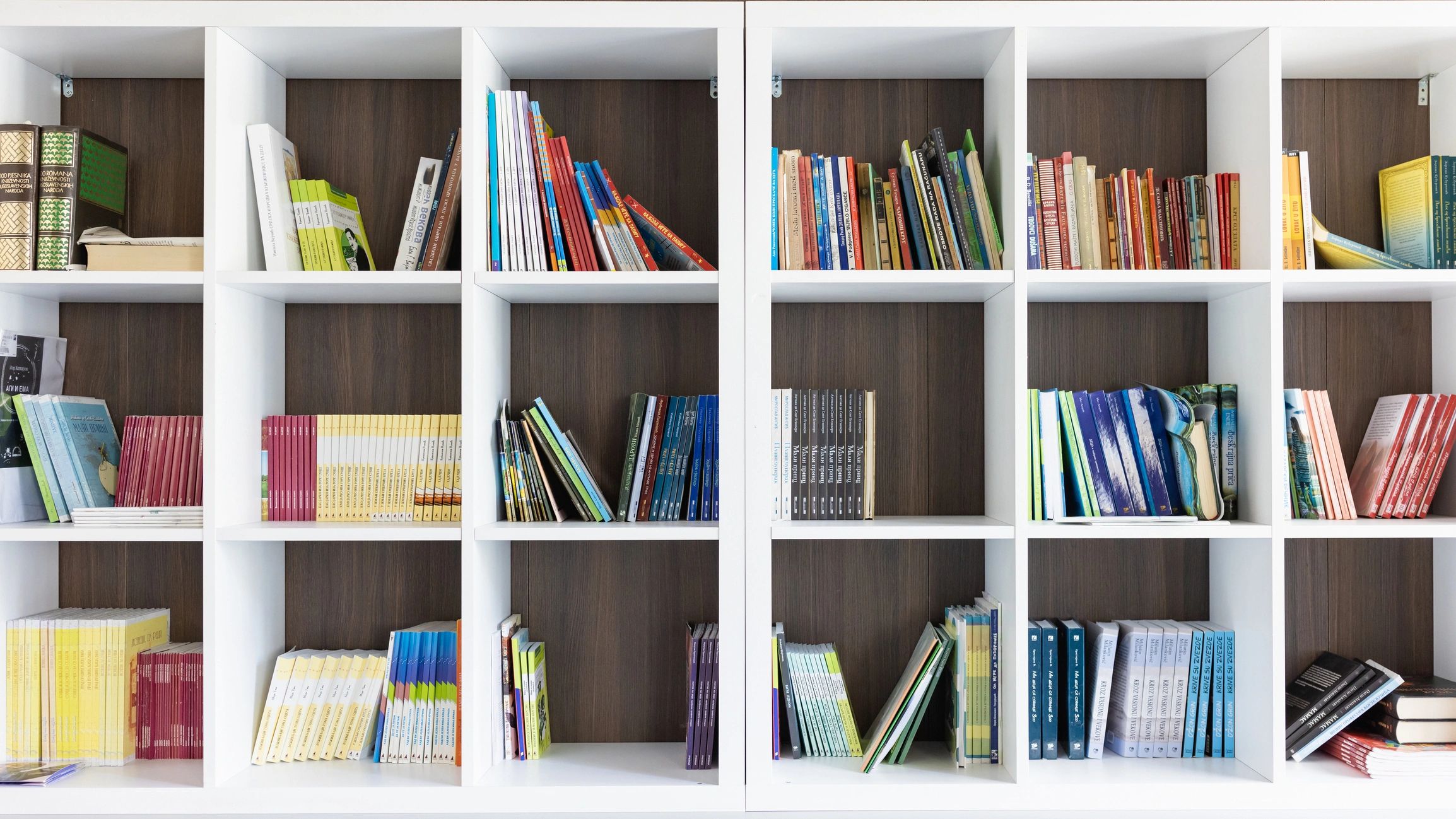 Elementary school library shelf