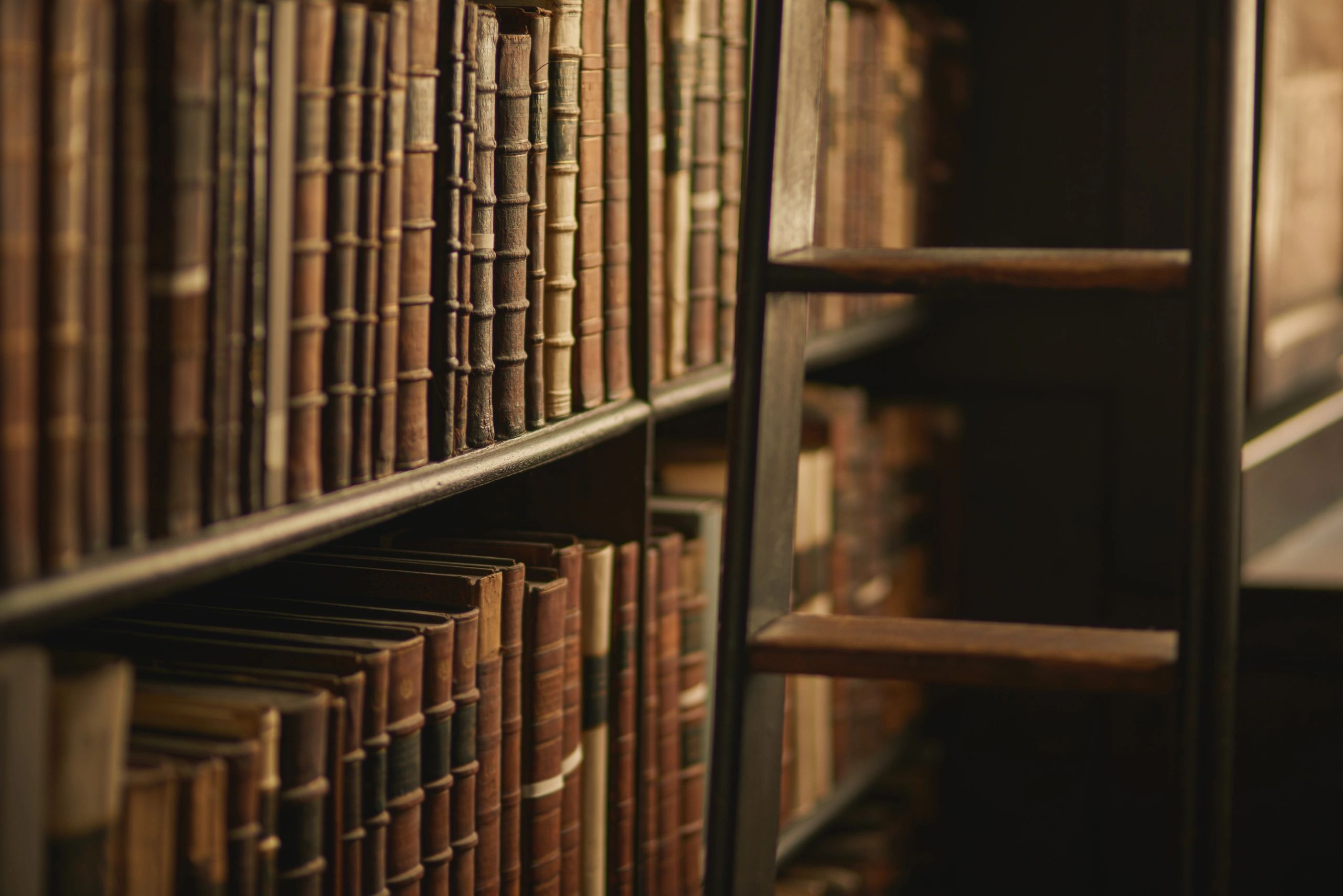 Historic library stacks representing preserved knowledge and historical foundations